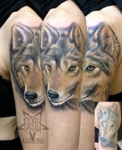 Исправление не удачной татуировки, волк в реализме на плече