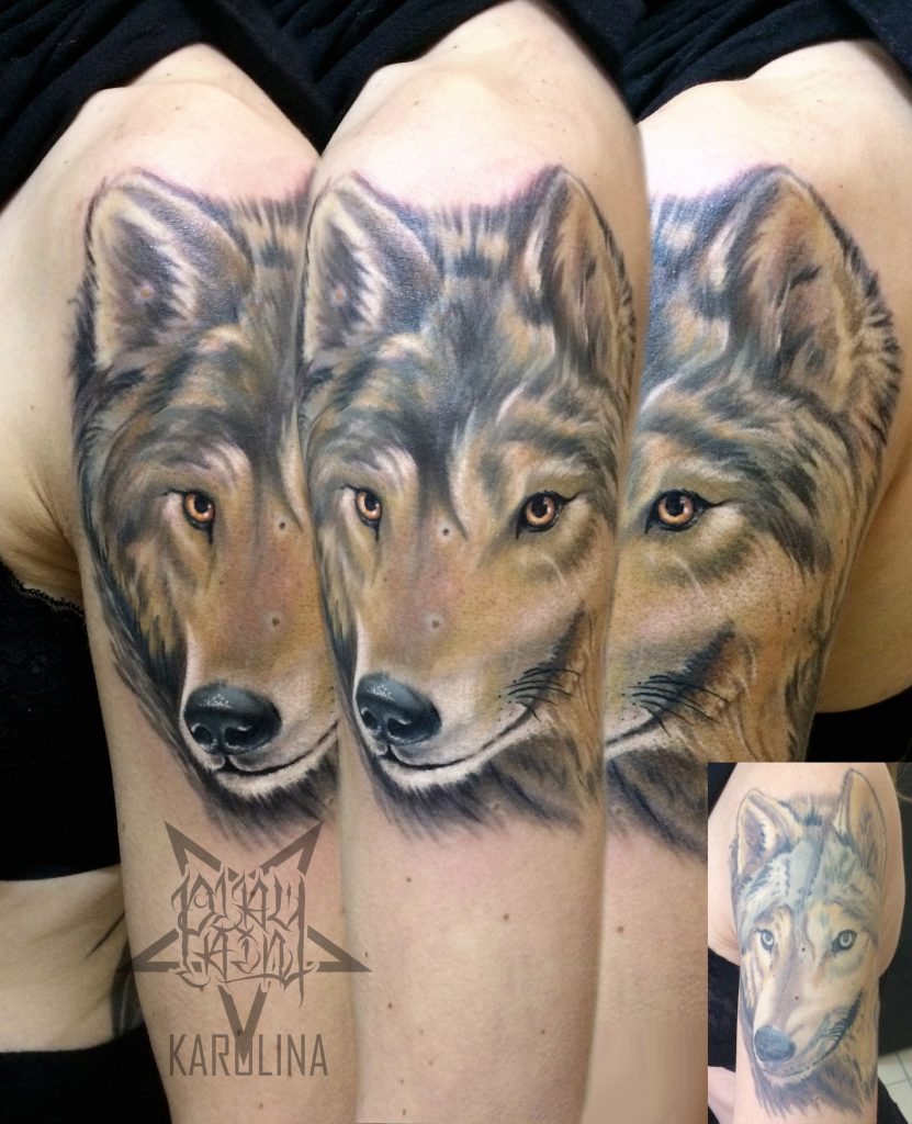 Исправление не удачной татуировки, волк в реализме на плече