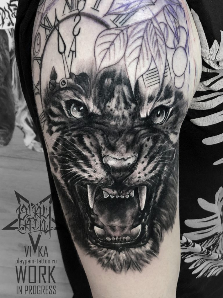 Тигр на плече, мужская татуировка в процессе