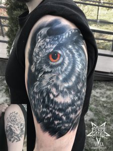 Перекрытие старой татуировки, сова в реализме на плече